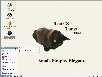 BeatrIXデスクトップ